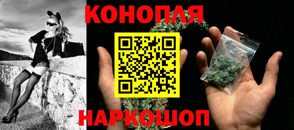 Конопля сатива Красноярск
